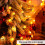 Acorn Lichterkette, 4 m, 40 LEDs, Batterie- oder USB-Betrieb 3