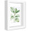 Floating Picture Frame White 5x7 with Double Plexiglass 1