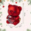 Šperkovnice Rose Hug Bear s pravými konzervovanými růžemi 4