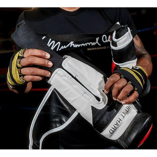 Title Boxhandschuh Dry Devil 2.0 - Schwarz 2