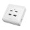 USB-Steckdose Typ-C USB-Wandladegerät Steckdose mit USB-Anschlüssen 1