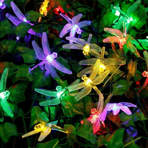 Luzes de fada a bateria, 3m, 20 LEDs, 2 modos. 2
