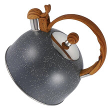 Fierbător Sounding Kettle din oțel inoxidabil pentru încălzirea apei, pentru uz casnic, 2,5 l