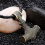 Retro Necklace, Thor's Hammer Mjolnir, Artificial Leather, Gold 3