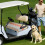 Golfkarstoelhoes van microvezel, 51" x 31" 8
