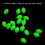 Luminous Fishing Beads Oval Float 900 pcs 6