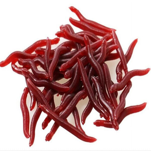 Brown Silicone Fishing Lures Worm Shape 4cm 100Pcs 1