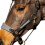 (Full, Grey) Whitaker Harewood Horse Headcollar 3