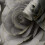 Muriva Muriva Madison Rose Glitter Wallpaper 2