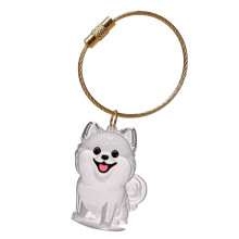 Elegante Pet Loss Memorial-sleutelhanger met zichtbare-Bomei