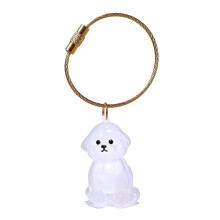 Pet Ashes Memorial Keychain With Clear Protective Dog-Bichon