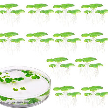 Roots Artificial Floating Plant Aquarium Ornaments Creative