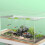Roots Artificial Floating Plant Aquarium Ornaments Creative 3
