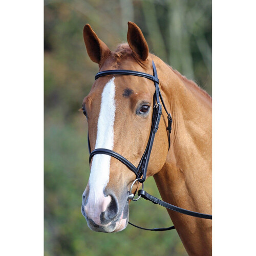 (Full, Black) Aviemore Raised Cavesson Leather Horse Bridle 2