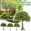 Miniature Landscape Tree for Model Scenes, Realistic Fruit Tree Ornament for DIY Crafts 2