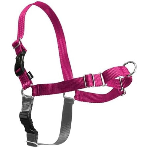 Ζώνη Easy Walk για σκύλους – Χωρίς τράβηγμα, Πατενταρισμένη θηλιά Martingale, μπροστινό