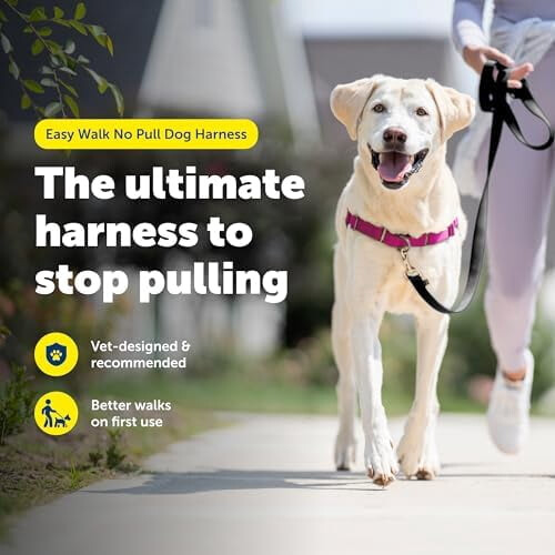 Ζώνη Easy Walk για σκύλους – Χωρίς τράβηγμα, Πατενταρισμένη θηλιά Martingale, μπροστινό 1