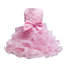 Børnekjole Piger Fødselsdag Lang Elegant Ærmeløs Mesh Prinsesse Blomsterpigekjoler Bryllup Børnepiger5t Kjole Piger Størrelse 6