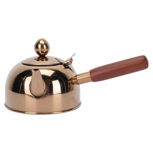Lille tekande med rustfrit stål infuser304Tebrygger til te, 1 stk. og stilfuld