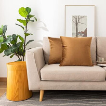 Decoratieve sierkussenhoezen, set van 2, fluwelen kussenhoezen voor bank, slaapkamer, woonkamer en buiten, kussenhoezen 18x18 inch (45x45 cm), bruin