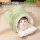 Lit géant pour petits chiens et chats - Violet 3