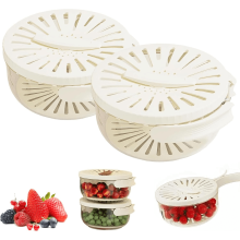2-in-1 Abtropf- und Aufbewahrungskorb mit Deckel und klappbarem Griff, Obst-/Gemüsewaschschüssel