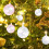 Mini iridescent clear plastic ornaments 12 pcs 4