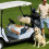 Toalha de assento para carrinho de golfe em microfibra, 130 x 79 cm (51 x 31 polegadas) 8