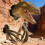 3D-Dinosaurierkopf-Wandbild, Harzskulptur, Gelb 6