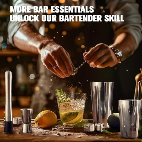 Σετ 23 τεμαχίων Boston Cocktail Shaker με ακρυλική βάση, φυλλάδιο συνταγών και 4 πέτρες 2