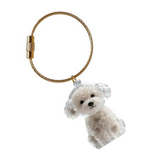 Huisdier Memorial sleutelhanger hondenhaar doos-Schattige teddy