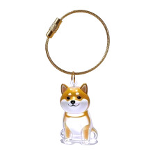 Huisdier Memorial sleutelhanger hondenhaarbox voor het-Shiba Inu