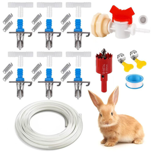 Ensemble d'abreuvoir pour petits-Ensemble combiné de 12 pièces 1