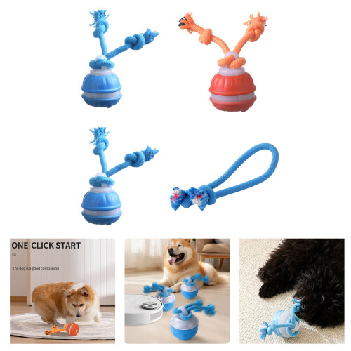 Springender, rollender Hundeball, kaubeständige-Blau Normal 2