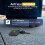 Bluetooth Luggage Tracker 4 Pack for Android compatible with Google Find My, Replaceable Battery, Loud Alert 3