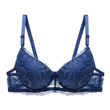 Sutiã feminino sexy de renda com efeito push-up para o Dia dos Namorados, sutiã feminino moderno e sexy com renda em tule e aros finos.