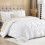 Housse de couette 3 pièces à plis pincés couleur avoine Queen 2