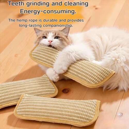 Μαξιλάρι παιχνιδιού για γάτες Catnip (11,22"x13,4"), Καθαριστικό δοντιών, Ανθεκτικό και 2