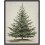 Vintage-Weihnachtsbaumdruck, 8x10 oder 11x14 Zoll 1