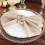 BalsaCircle 20 Pieces 20" Nude Polyester Napkins Wedding Kitchen 7