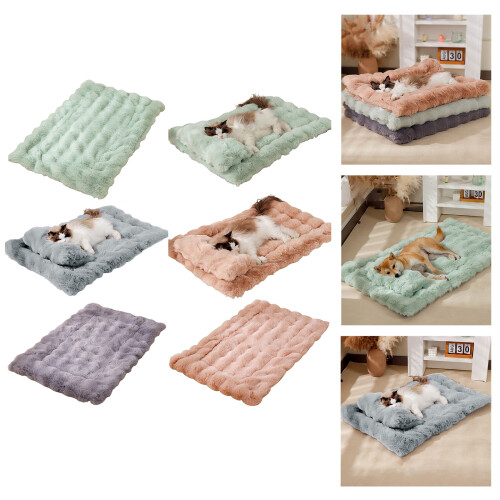 Pet Pad   Soft Surface Thermal Insulation-L Orange  And  Pillow 2