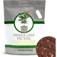 Fiddle Leaf Fig Soil by 8QTS, Premium Professional Blend for All Fiddle Leaf Figs