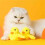Automatic Cat Toy for Indoor Cats Under $10 2