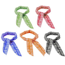 5 toallas deportivas refrescantes para exteriores, bufanda refrescante de secado rápido, diadema de hielo, envoltura para el cuello (5 colores)