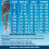 ABSOLUTE SUPPORT Καλσόν συμπίεσης χωρίς πόδια 20-30mmHg για γυναίκες, γκρι, μεγάλο 4