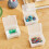2 scatole di plastica trasparente per carte e piccoli oggetti 4