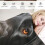 Κουβέρτα EastSmooth Black Lab, με πανέμορφο σχέδιο σκύλου Λαμπραντόρ, απαλό, αφράτο ριχτάρι 3