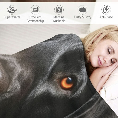 Κουβέρτα EastSmooth Black Lab, με πανέμορφο σχέδιο σκύλου Λαμπραντόρ, απαλό, αφράτο ριχτάρι 2