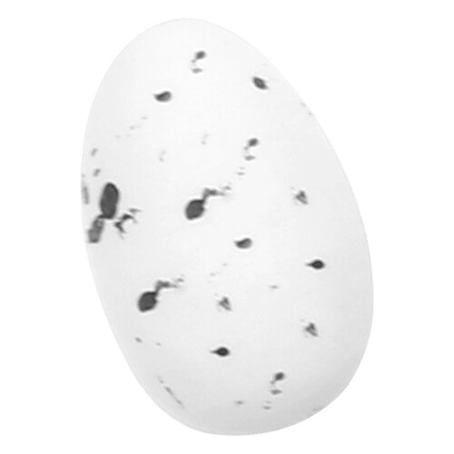 Factory Direct Craft Plastic Artificial Speckled Bird Eggs - 20 Mini Robin Egg Blue Eggs for Spring and Easter Decorations 2