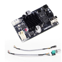 1001W-DIY Scheda Amplificatore  Mono Modulo Audio Ad Alta Potenza da 100 W Scheda Amplificatore di Potenza Sonora TPA3116